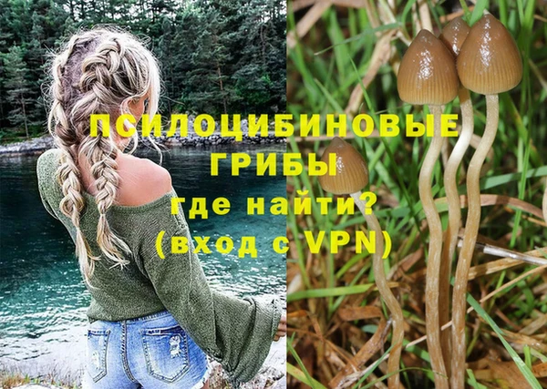 стаф Армянск